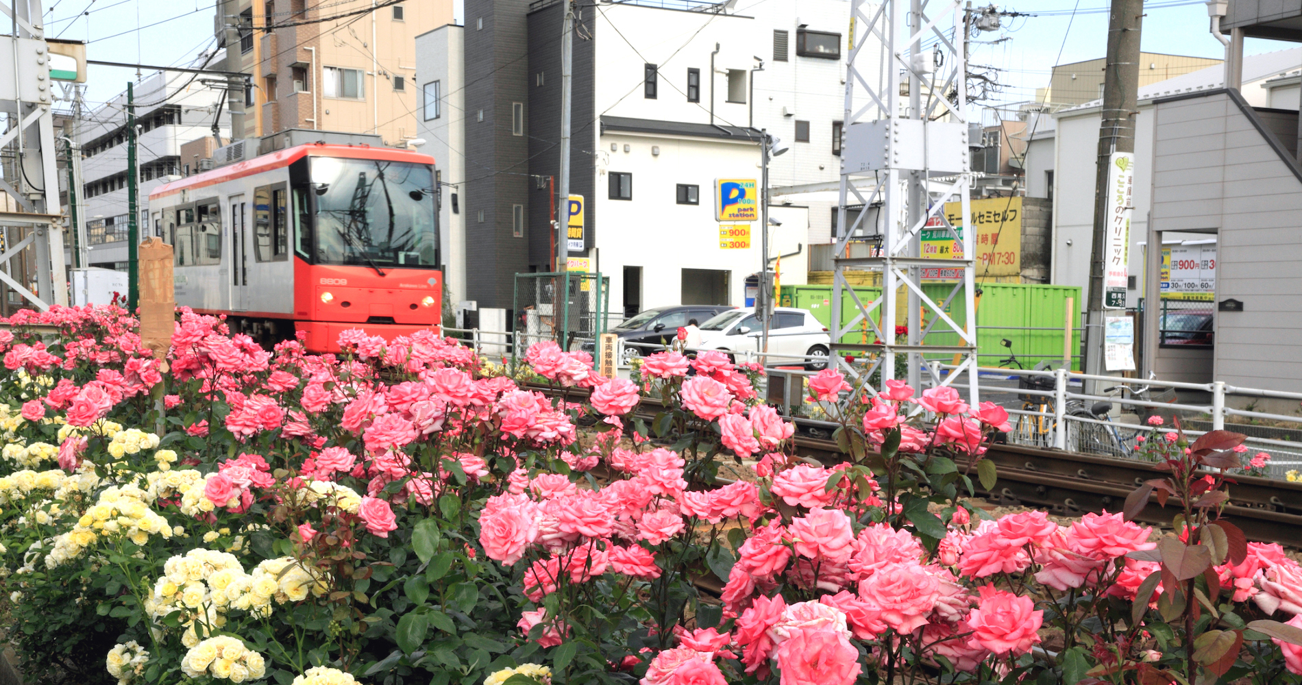 東京さくらトラム